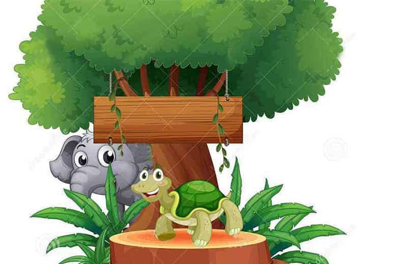 乌龟和大象比力气 乌龟和大象比力气