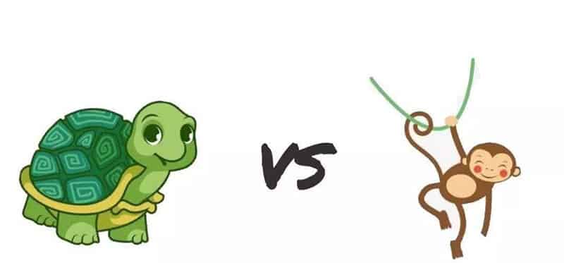 乌龟和大象比力气 乌龟和大象比力气