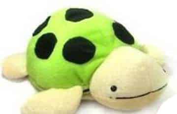 乌龟胖胖减肥记