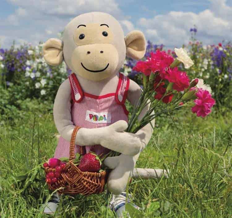 喜爱红色的波比