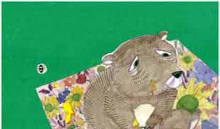 熊爸爸的袜子国