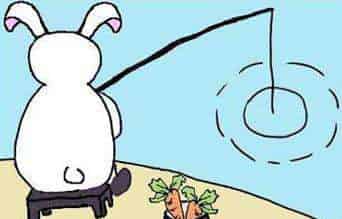小白兔晒太阳