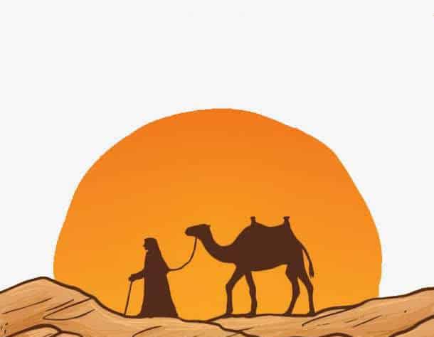 小白兔画骆驼 小白兔画骆驼