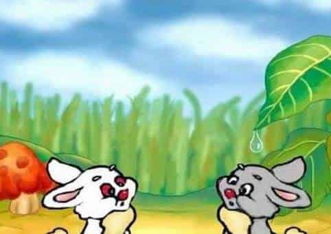 长斑点的蘑菇