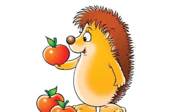 小刺猬丢苹果