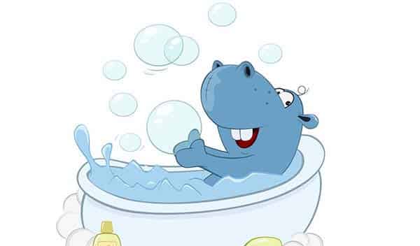 小河马洗澡 小河马洗澡