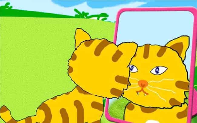 小花猫照镜子
