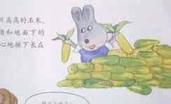 熊和兔子的故事