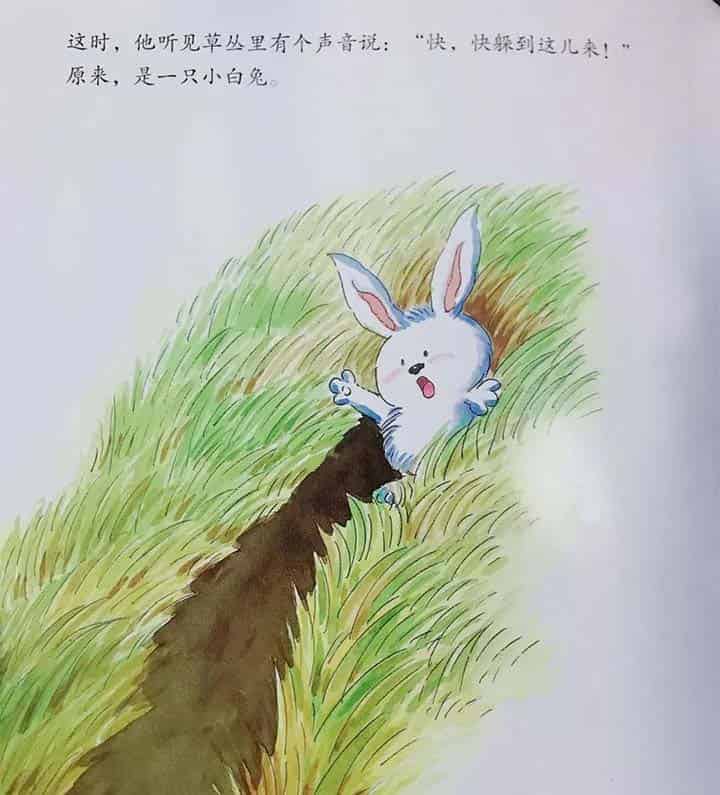 小灰兔找朋友 小灰兔找朋友