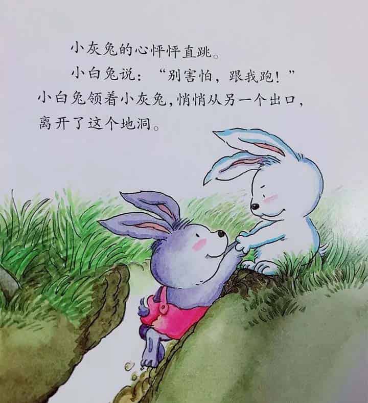 小灰兔找朋友 小灰兔找朋友