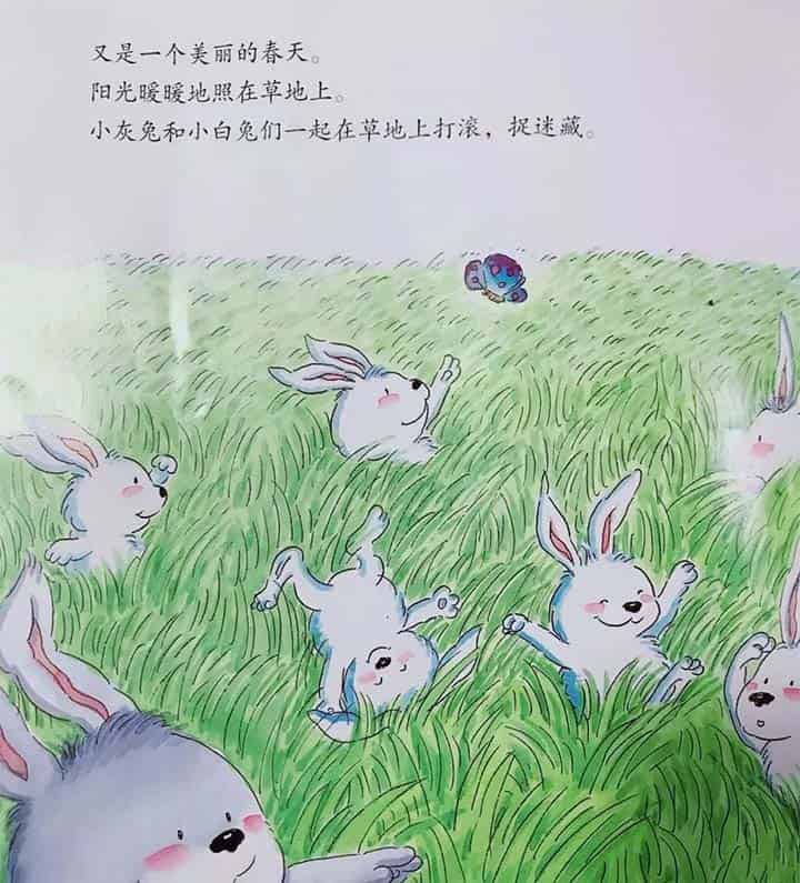 小灰兔找朋友 小灰兔找朋友