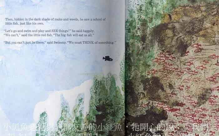 小黑鱼