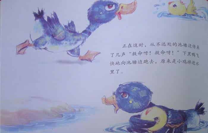 小黑鱼
