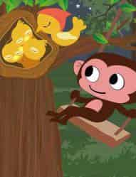 不爱睡觉的小猴子