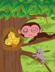 不爱睡觉的小猴子