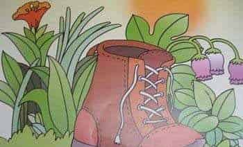 小猴子的破皮鞋