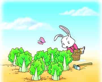 小白兔和小灰兔