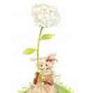 小笛的魔法书 小笛的魔法书