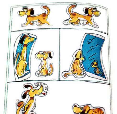 两只小狗