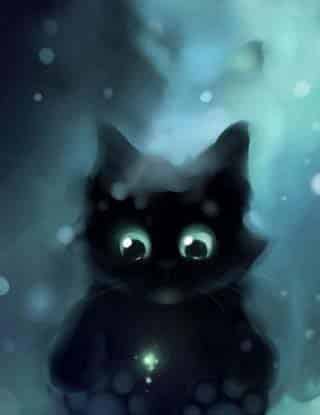 小黑猫帮助了别人,心里美美的! 小黑猫帮助了别人,心里美美的!