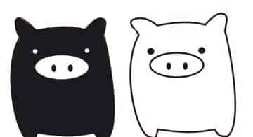 什么都敢吃的猪