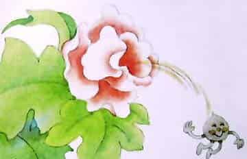 中班儿童故事：小花籽找快乐