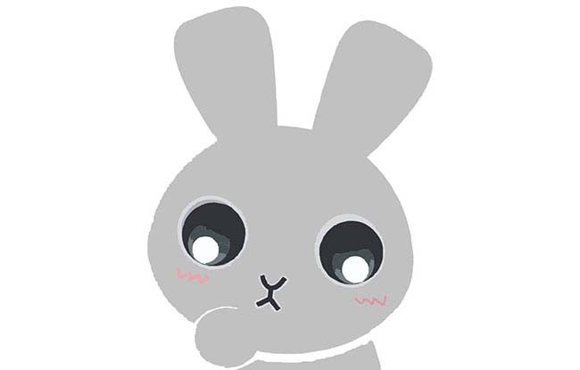 小灰兔看家