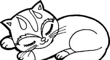 小猫米姆 小猫米姆