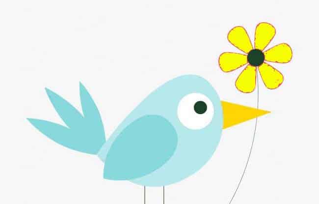 池塘边上的小黄花