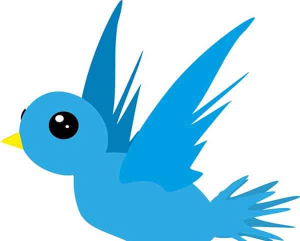 夏日里的小小风 夏日里的小小风