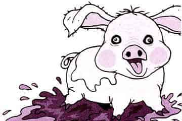 小白兔和小胖猪