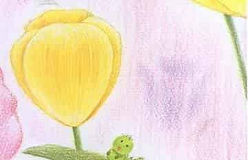 小青虫和他的梦 小青虫和他的梦