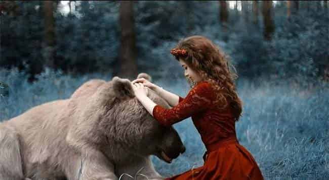 城里来了一只小熊