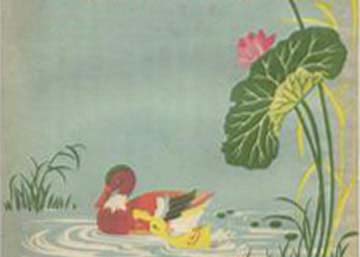 小鸭子学游水 小鸭子学游水