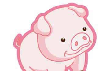 小猪发脾气 小猪发脾气