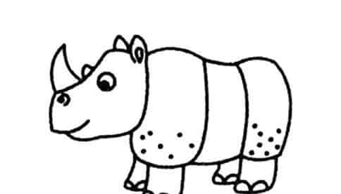 疙疙瘩瘩犀牛皮 疙疙瘩瘩犀牛皮