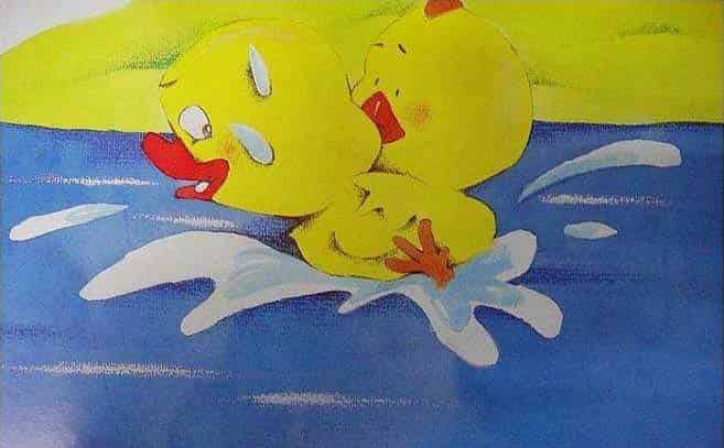 小鸡和小鸭 小鸡和小鸭