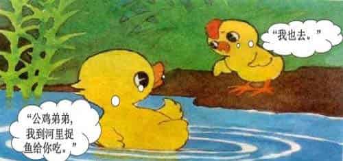 小鸡和小鸭 小鸡和小鸭