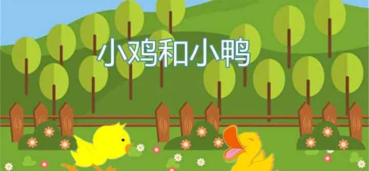 小鸡和小鸭