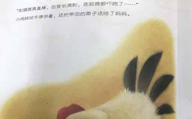 小鸡球球和小刺猬