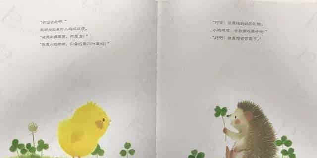 小鸡球球和小刺猬