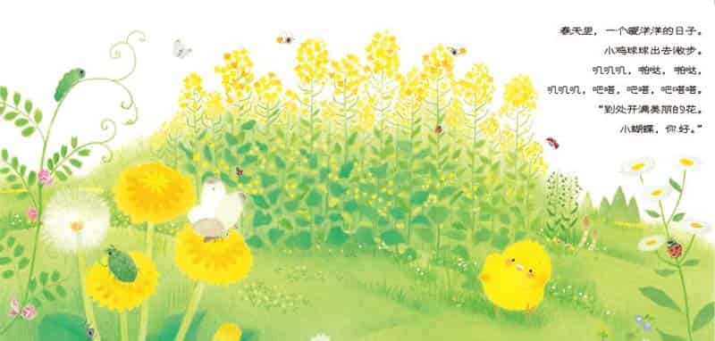 小鸡球球和向日葵