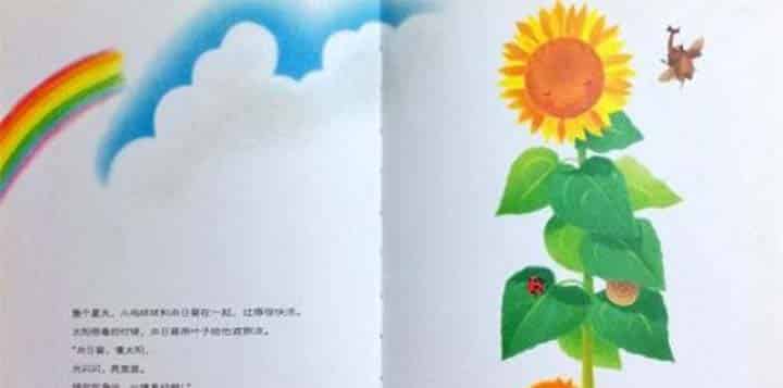 小鸡球球和向日葵