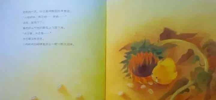 小鸡球球和向日葵