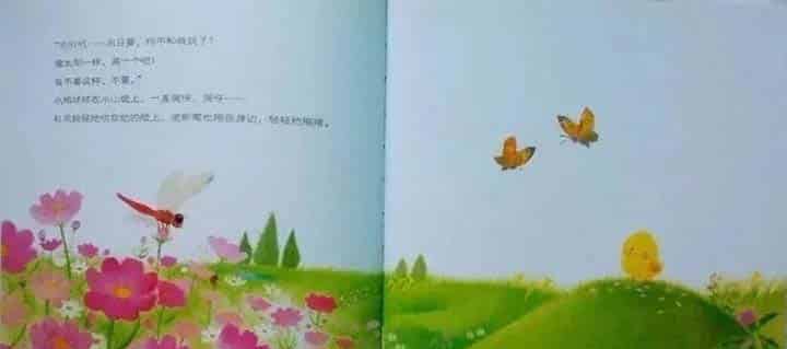 小鸡球球和向日葵