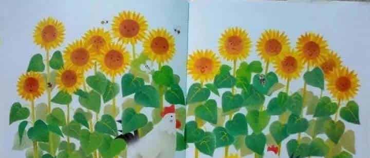 小鸡球球和向日葵