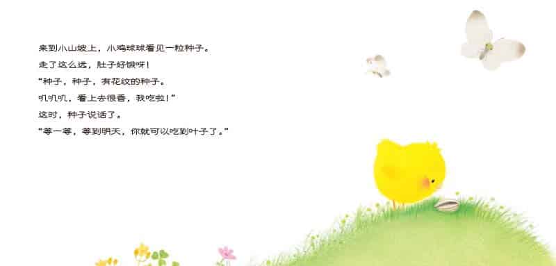 小鸡球球和向日葵