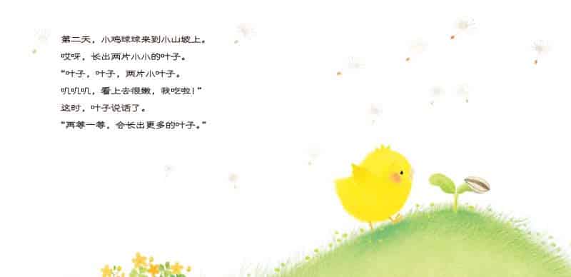 小鸡球球和向日葵