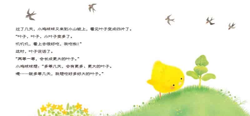 小鸡球球和向日葵