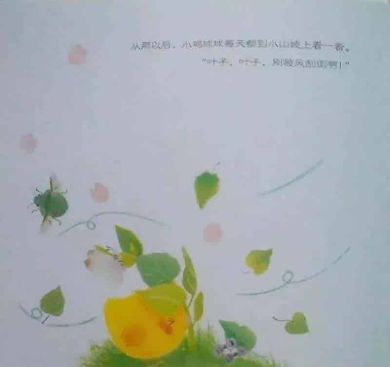 小鸡球球和向日葵